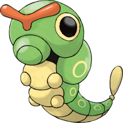 chenipan