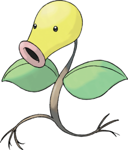 chétiflor