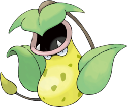 empiflor