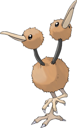 doduo