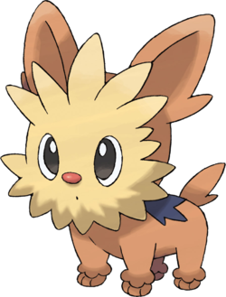 Ponchiot