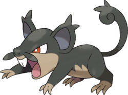 Rattata d'Alola