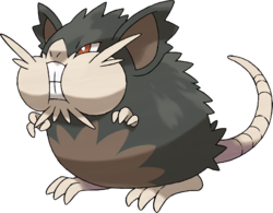 Rattatac d'Alola