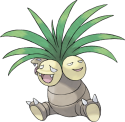 noadkoko