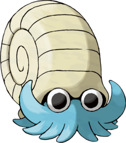 amonita
