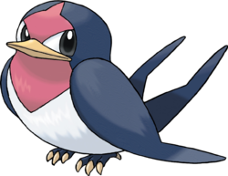 nirondelle