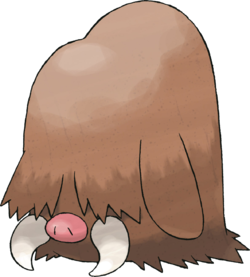 cochignon