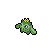 Cacnea