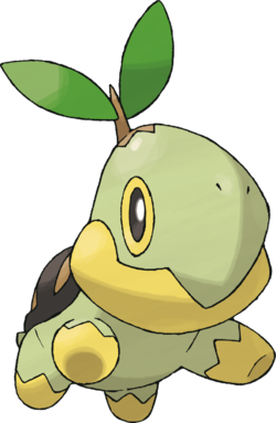 Tortipouss