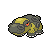 Hippodocus