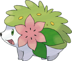 Shaymin (Terrestre)