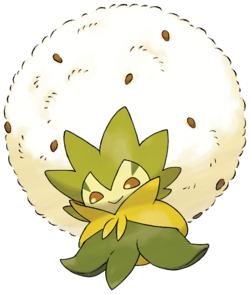 Blancoton