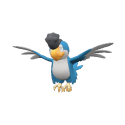 Tapatoès (Plumage Bleu)