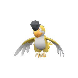 Tapatoès (Plumage Jaune)