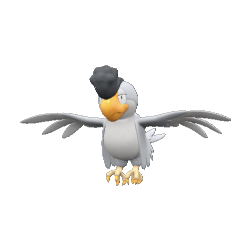 Tapatoès (Plumage Blanc)