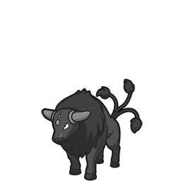 Tauros de Paldea (Race Combative)